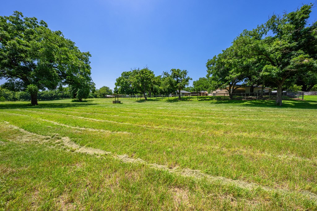 main property photo 59