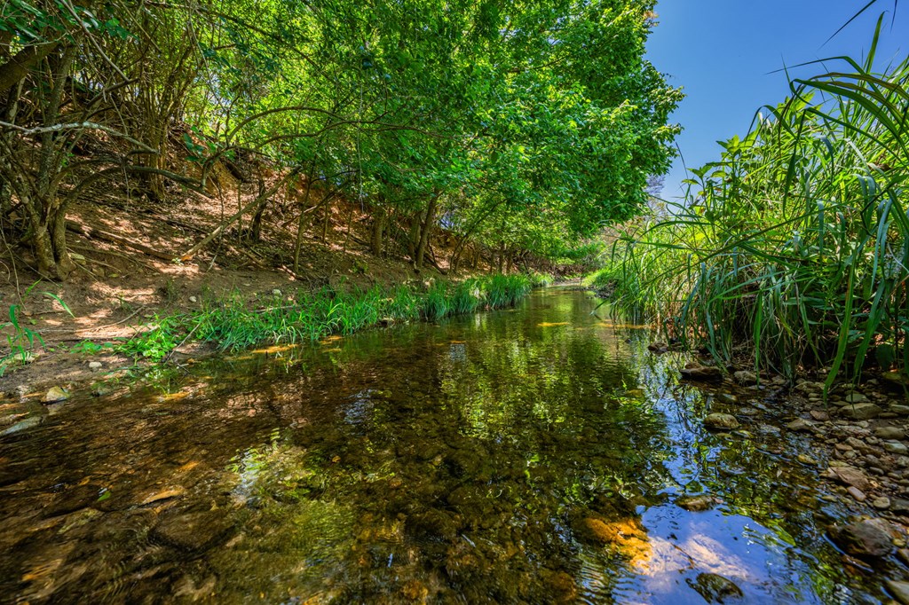 main property photo 60