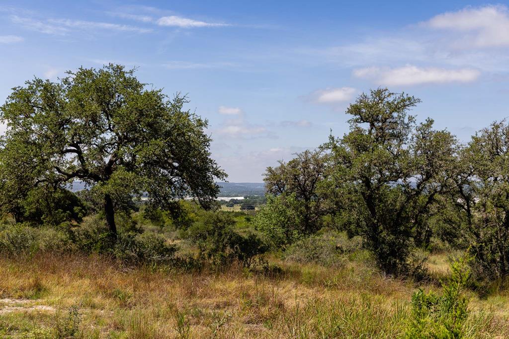 main property photo 59