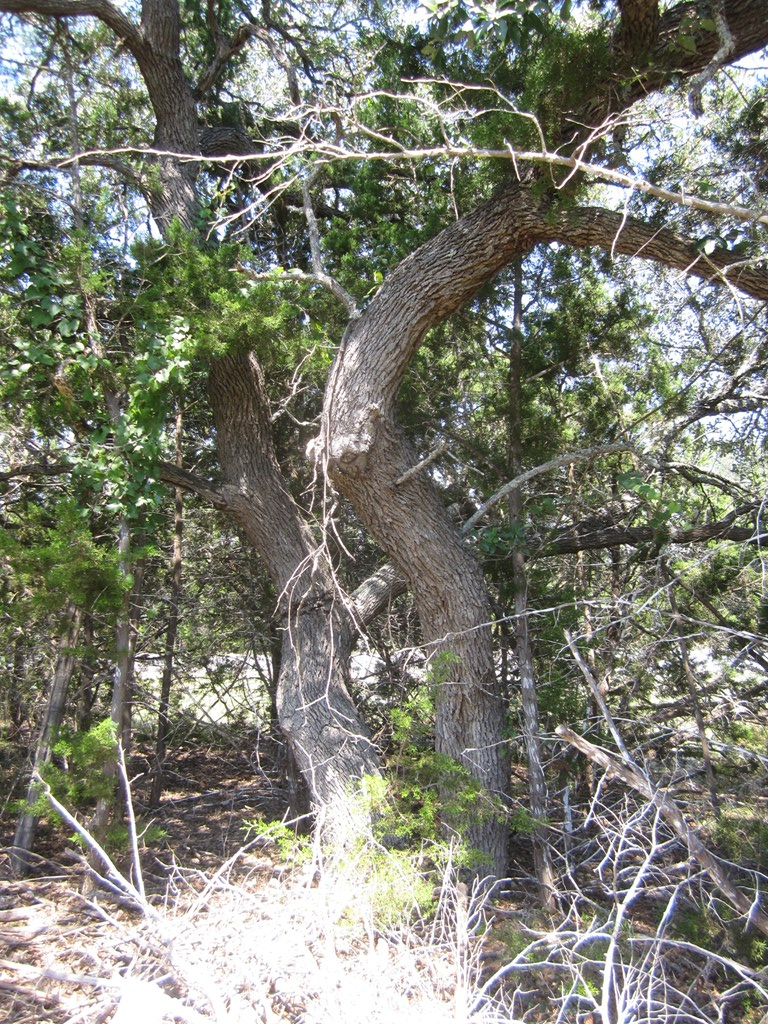 main property photo 27