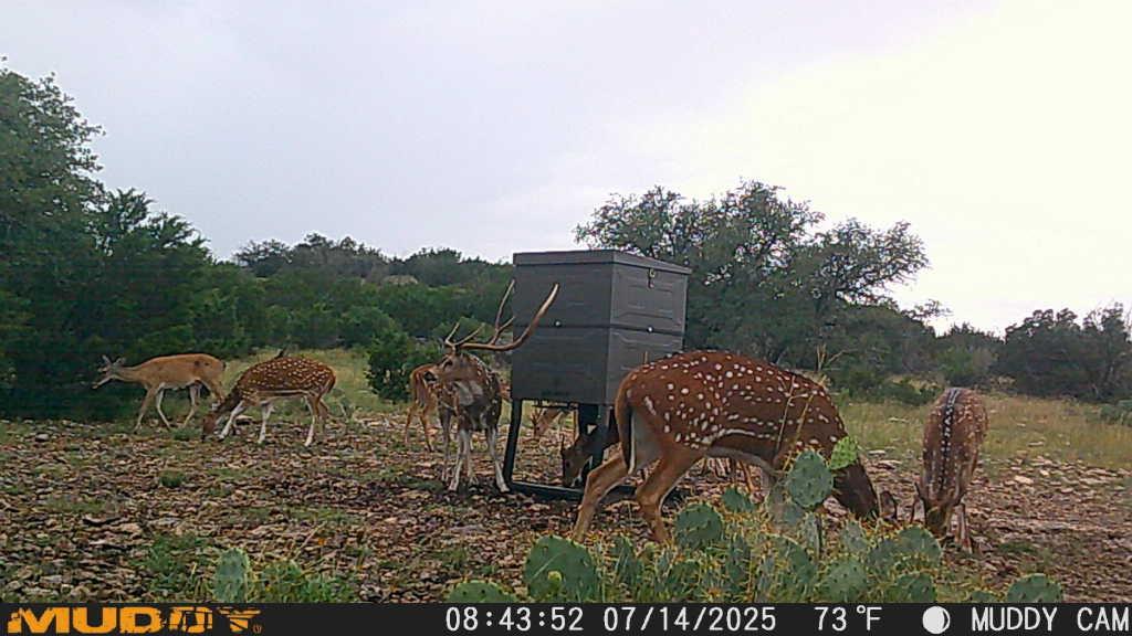 main property photo 23