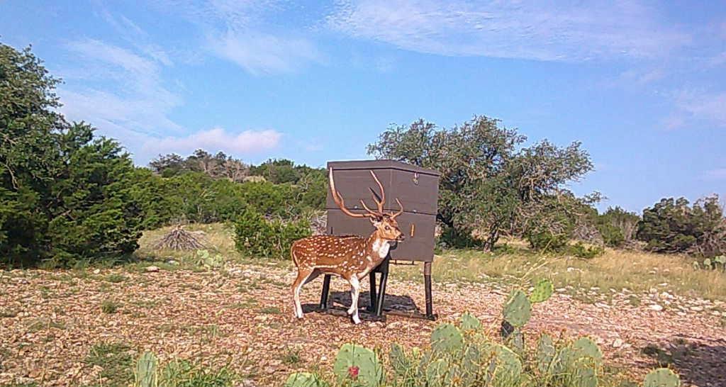 main property photo 29