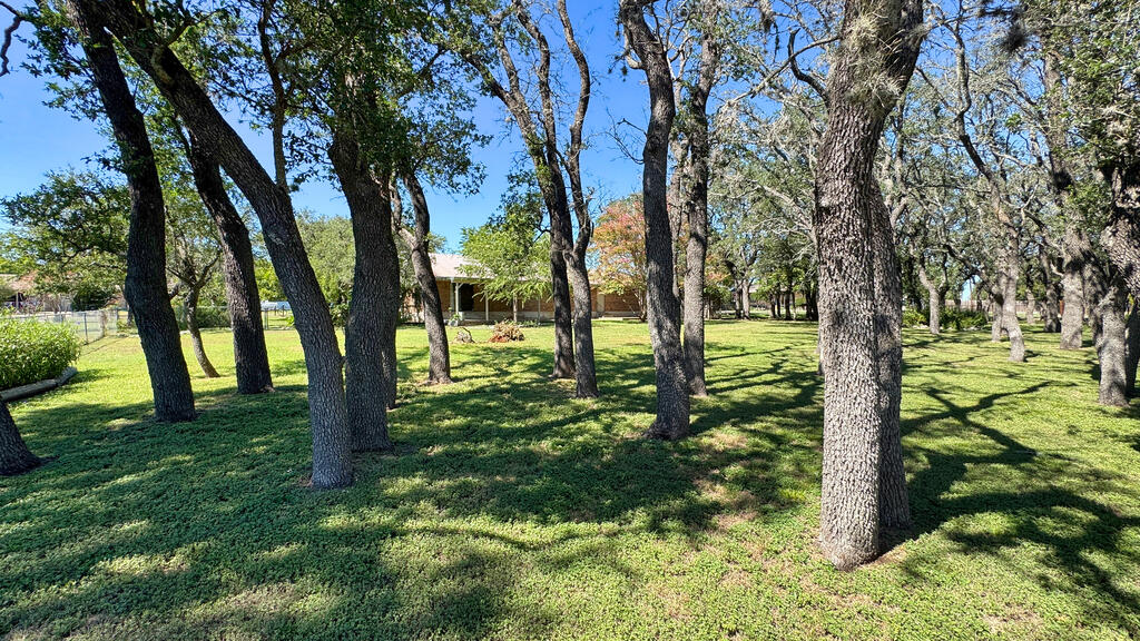main property photo 34