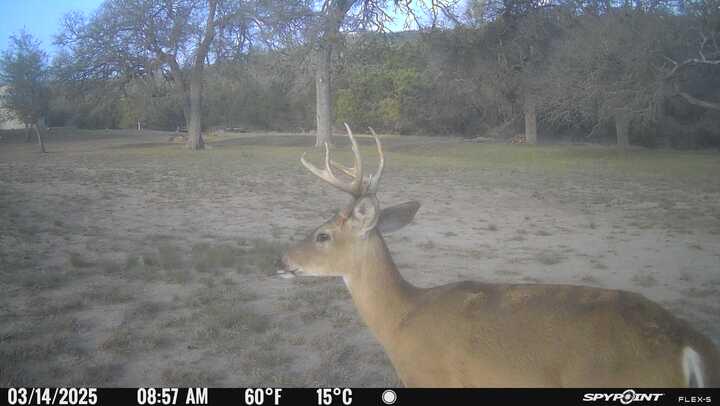 main property photo 59