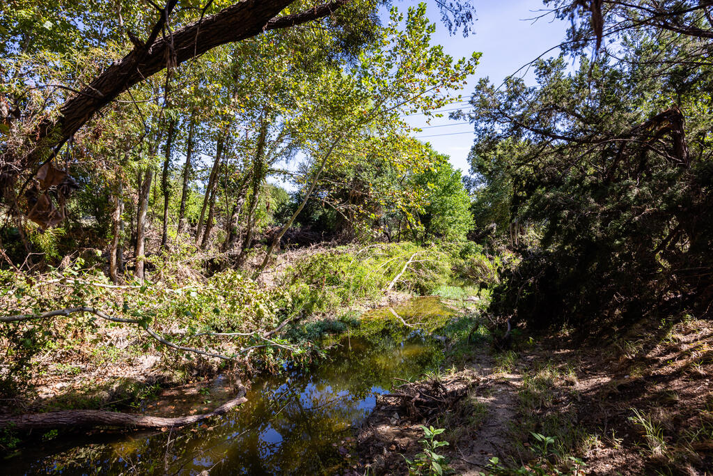 main property photo 53