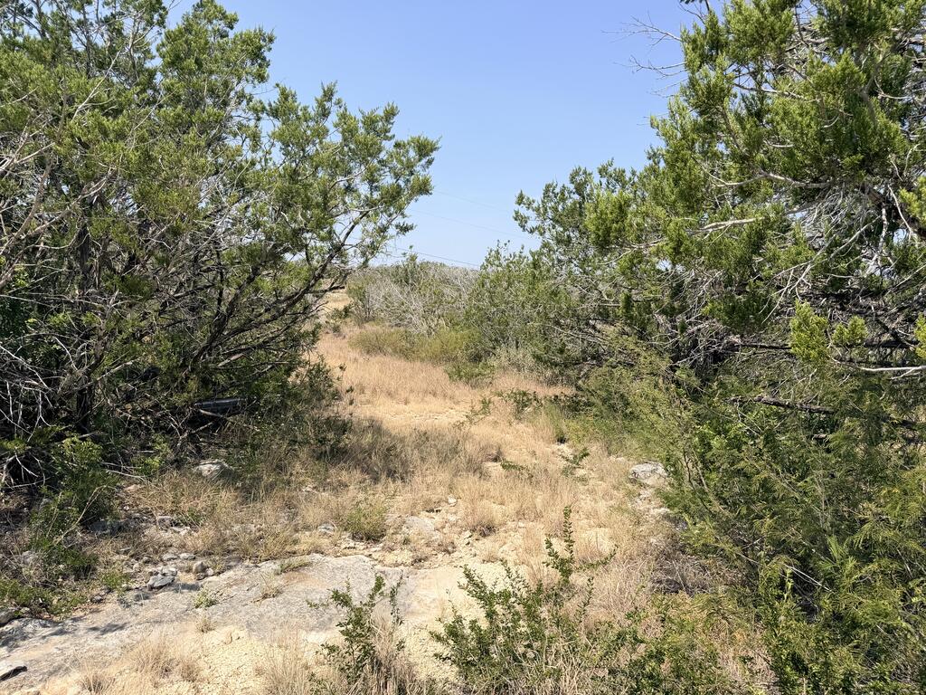 main property photo 16