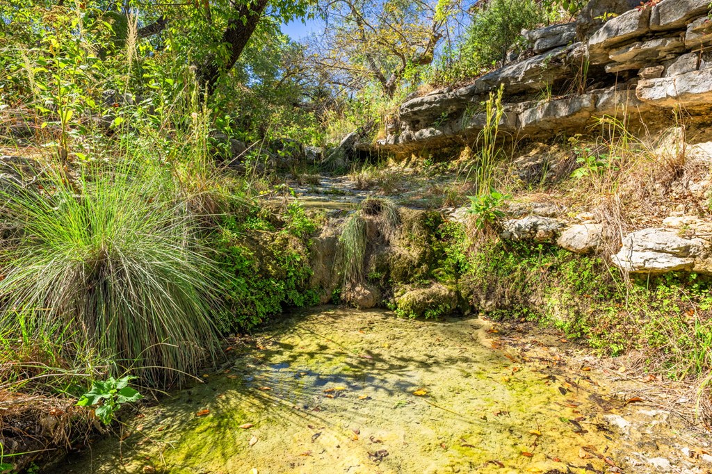 main property photo 56