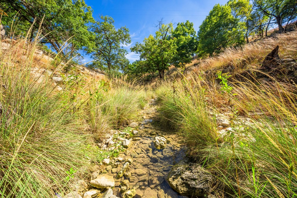 main property photo 54