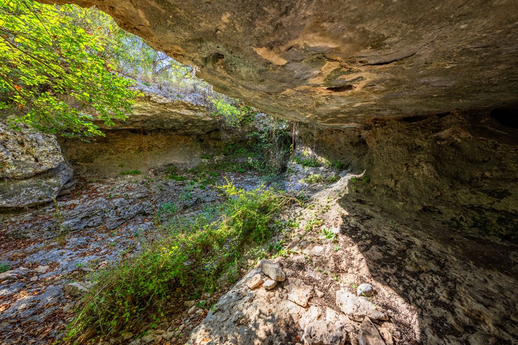 main property photo 55