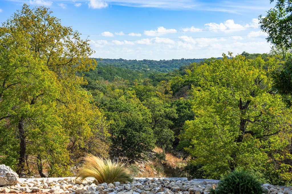 main property photo 59