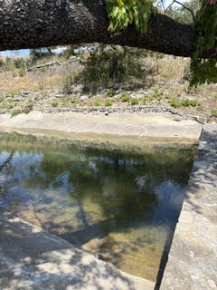 main property photo 61