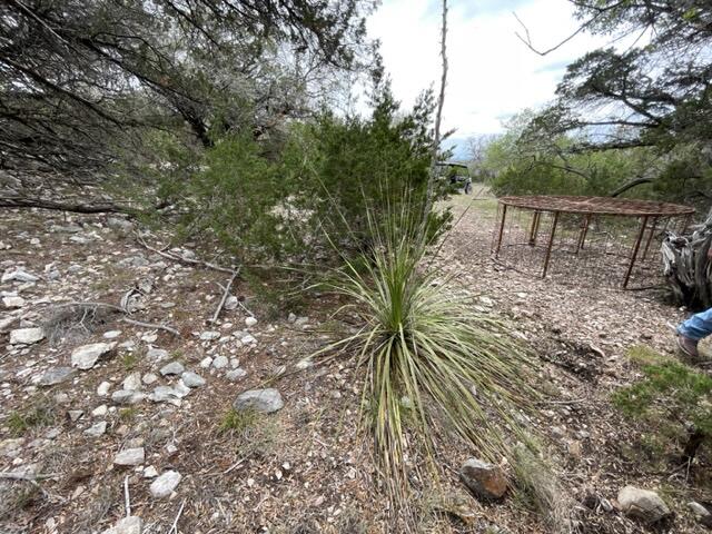 main property photo 32