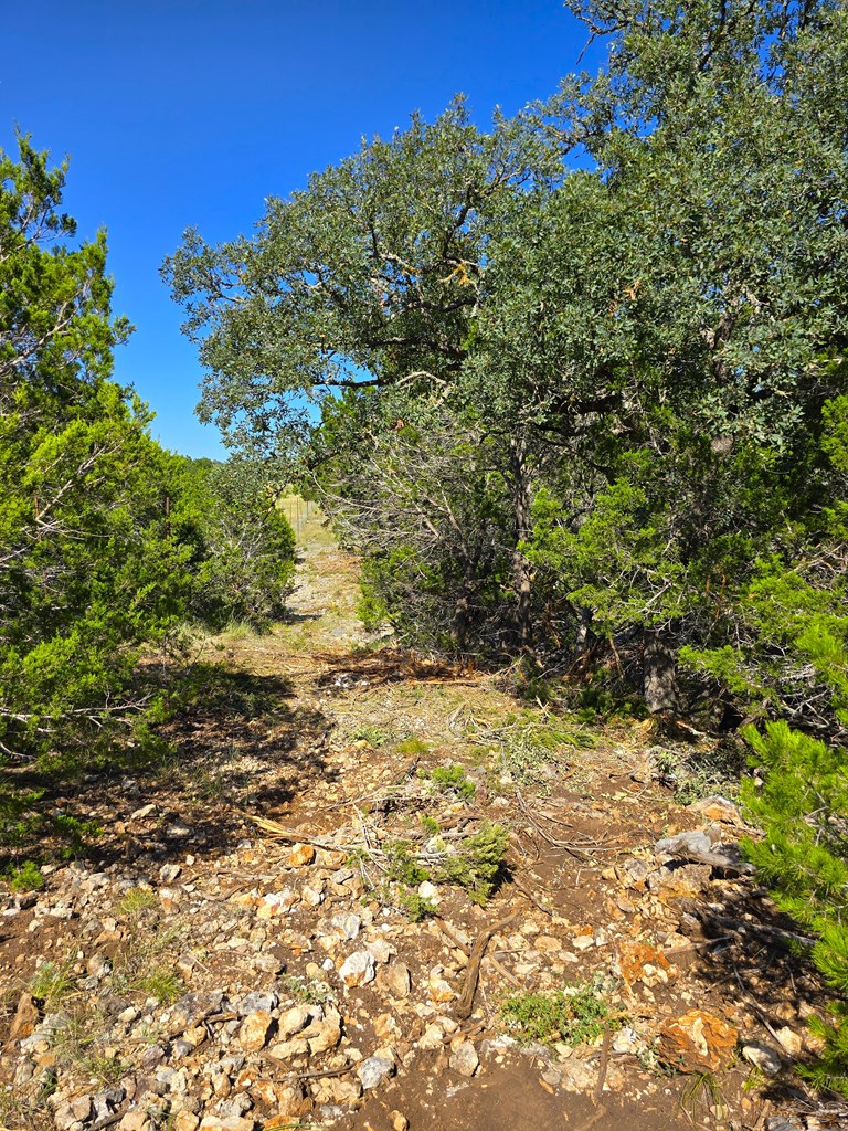 main property photo 39