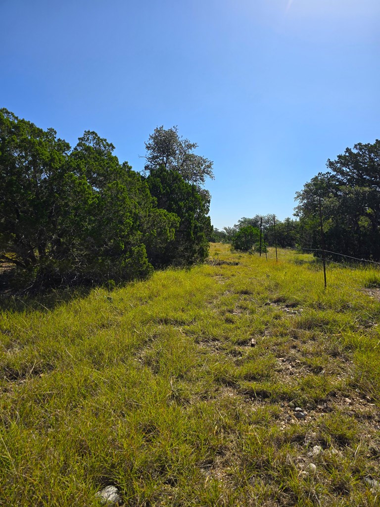 main property photo 50