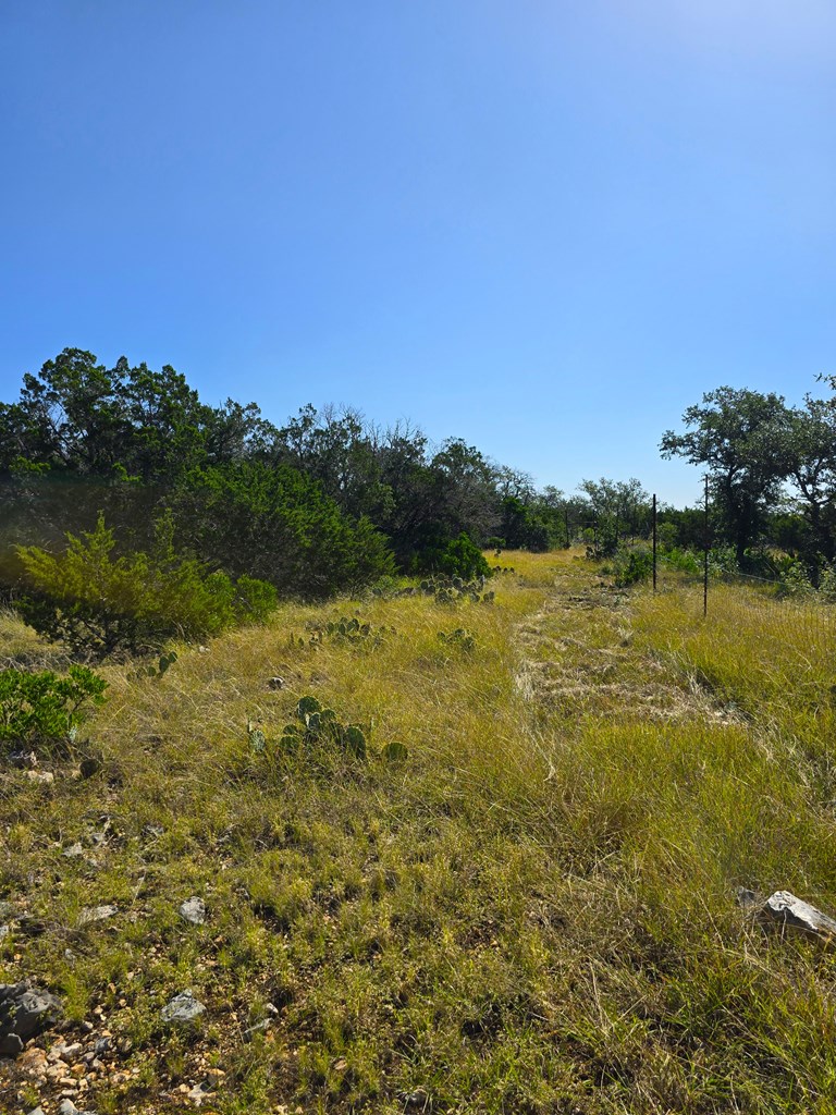 main property photo 51
