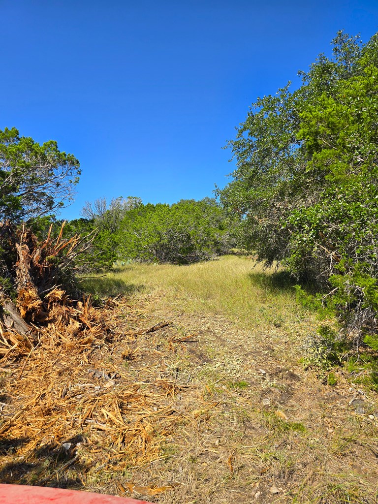 main property photo 61