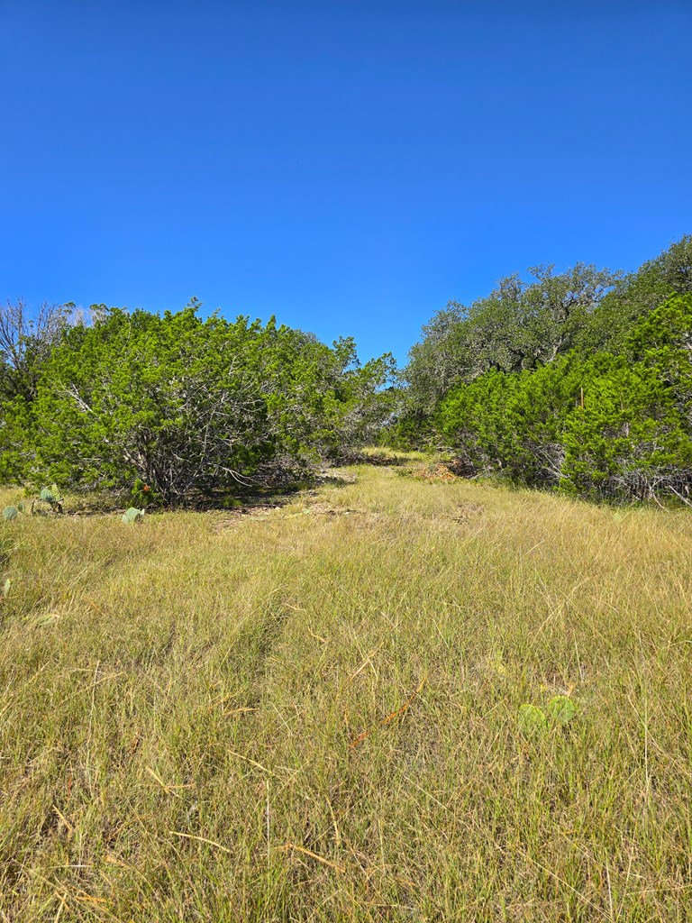 main property photo 62