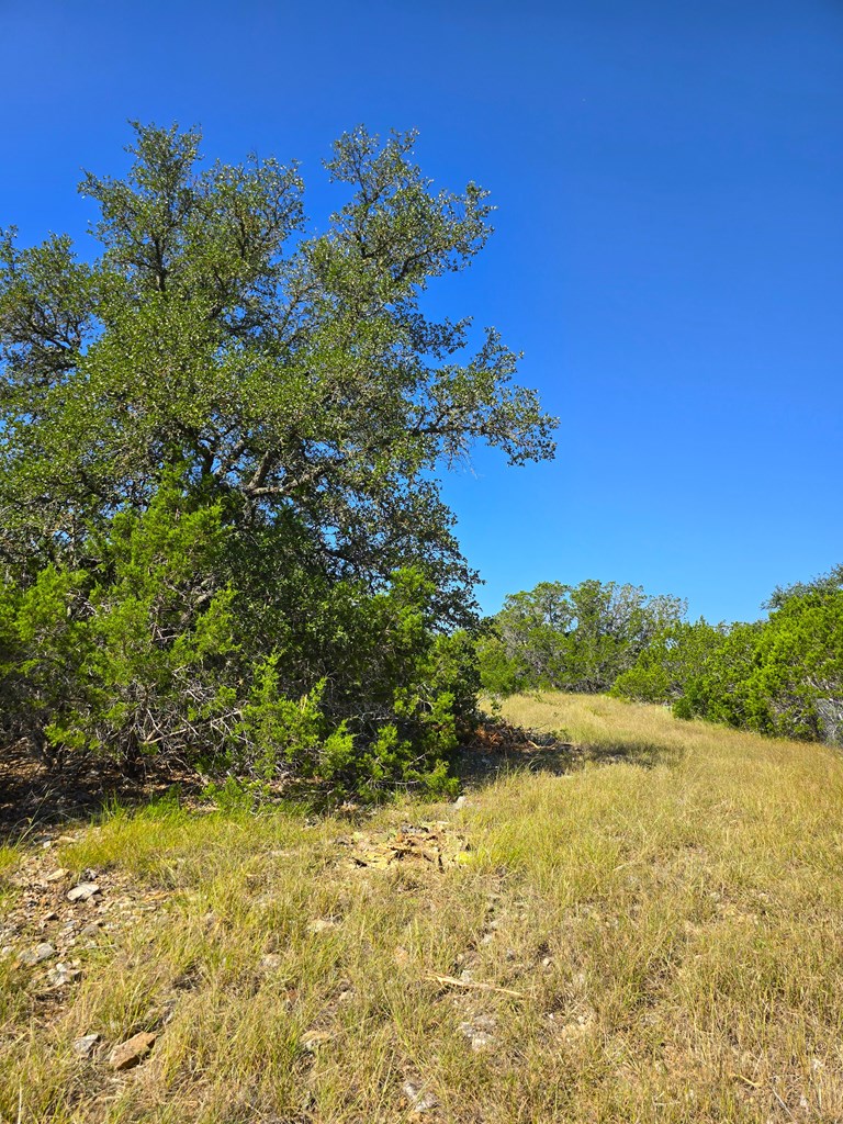 main property photo 64