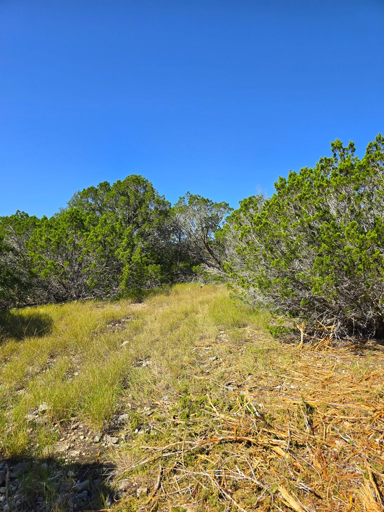 main property photo 66