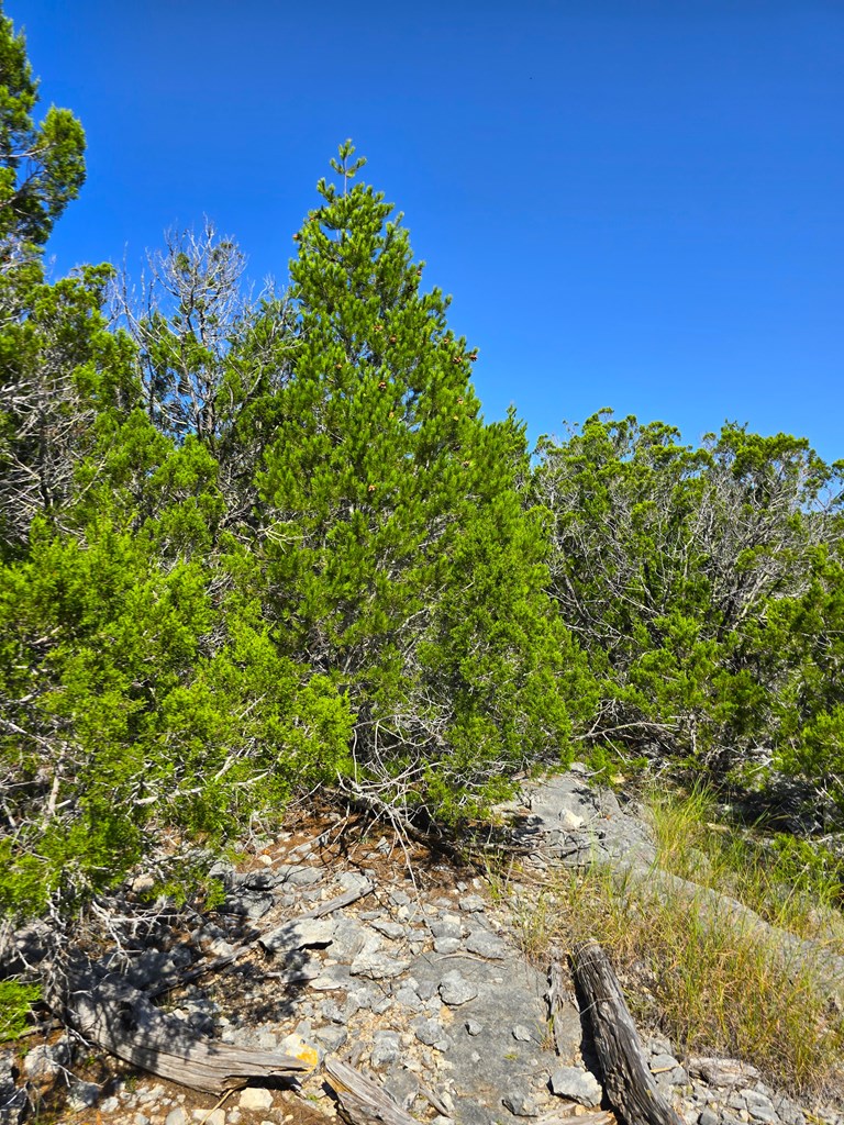 main property photo 67