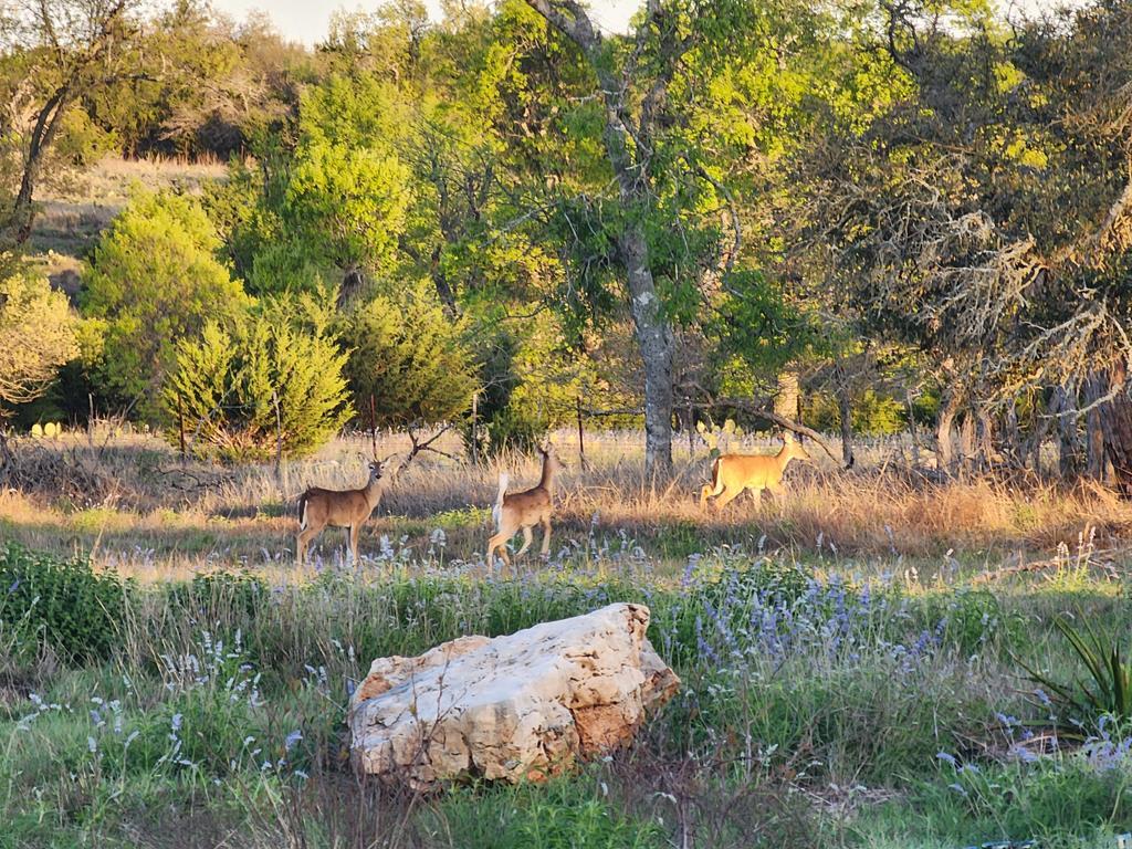 main property photo 51