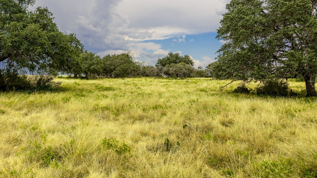 main property photo 11