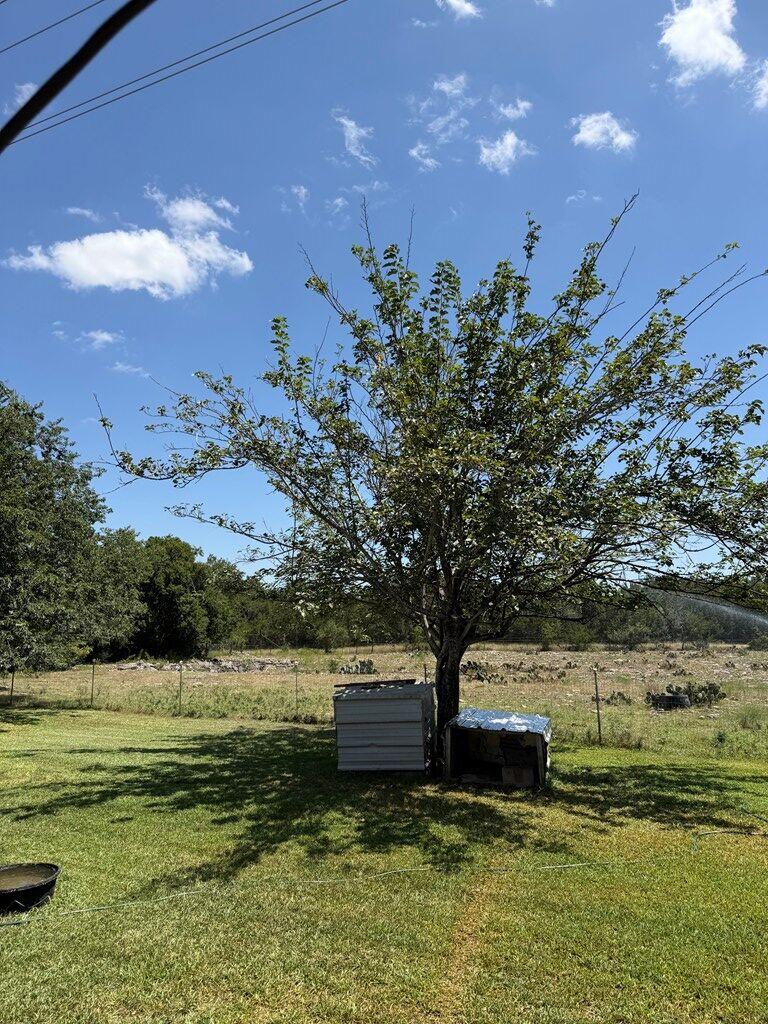 main property photo 14