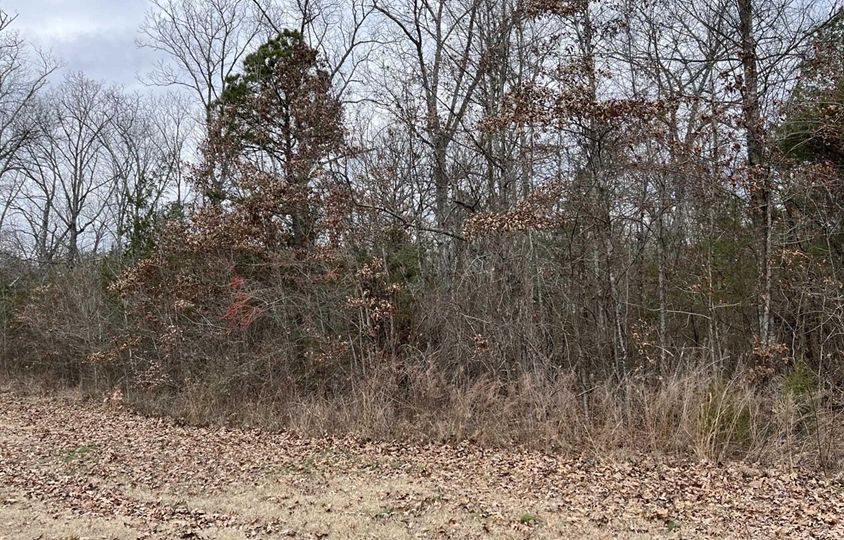 Lots 2 & 3 Sutton Drive, Locust Grove, AR 72550