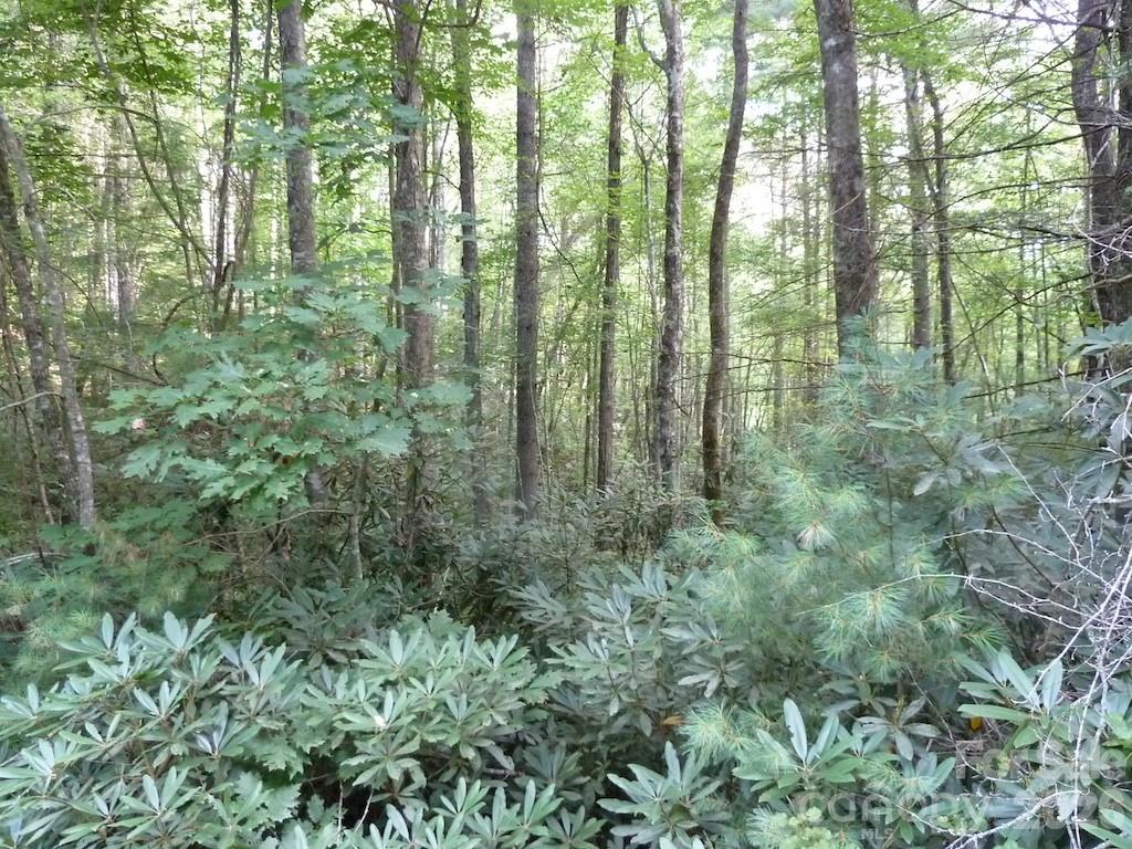 main property photo 26