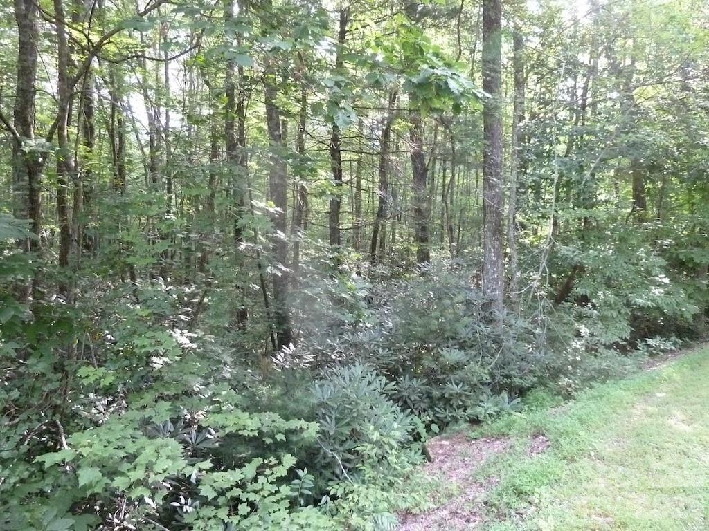 main property photo 30