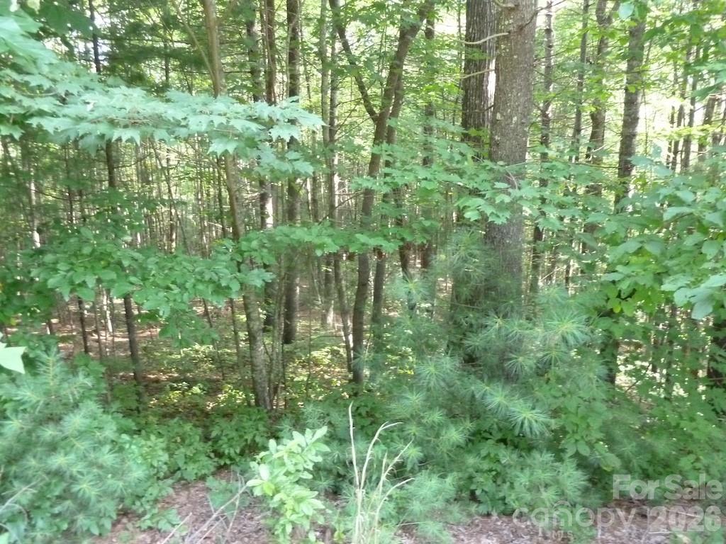 main property photo 41