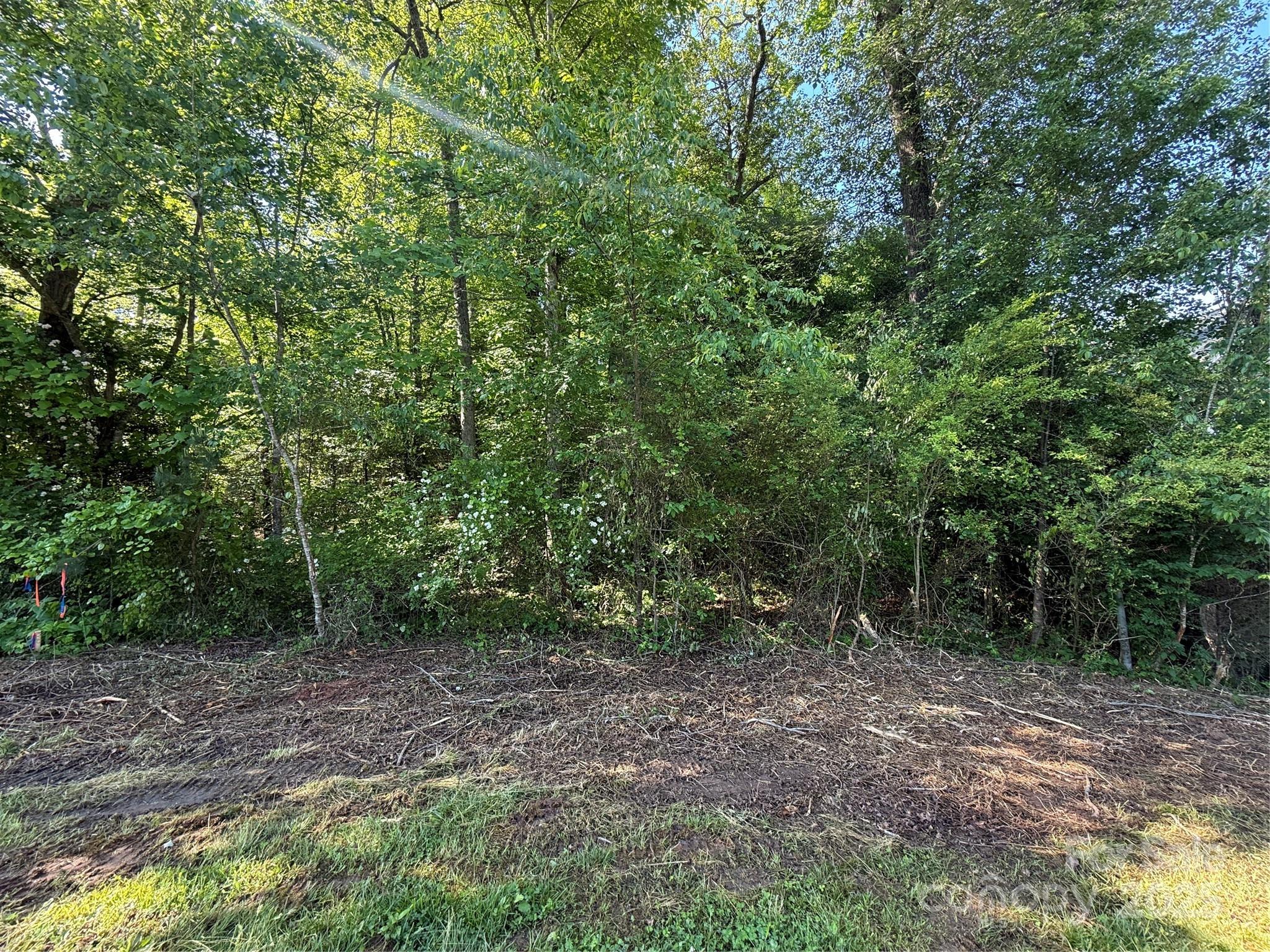 property viewer photo 1