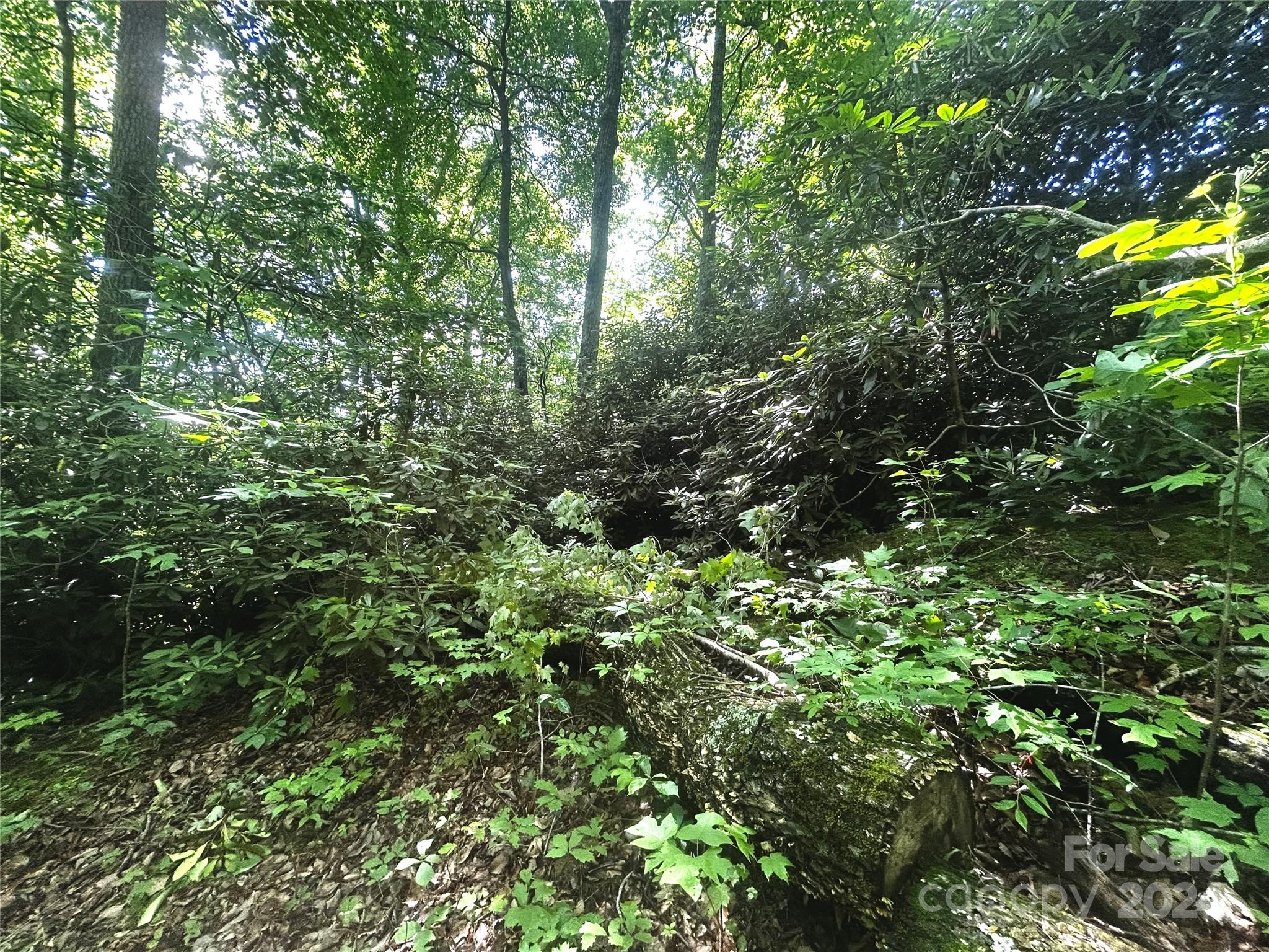 main property photo 11