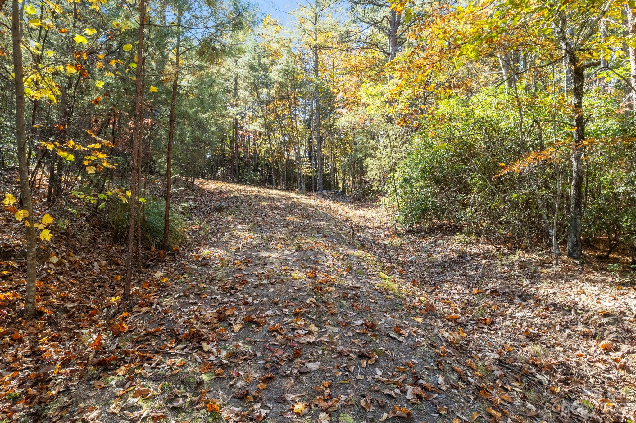 main property photo 31
