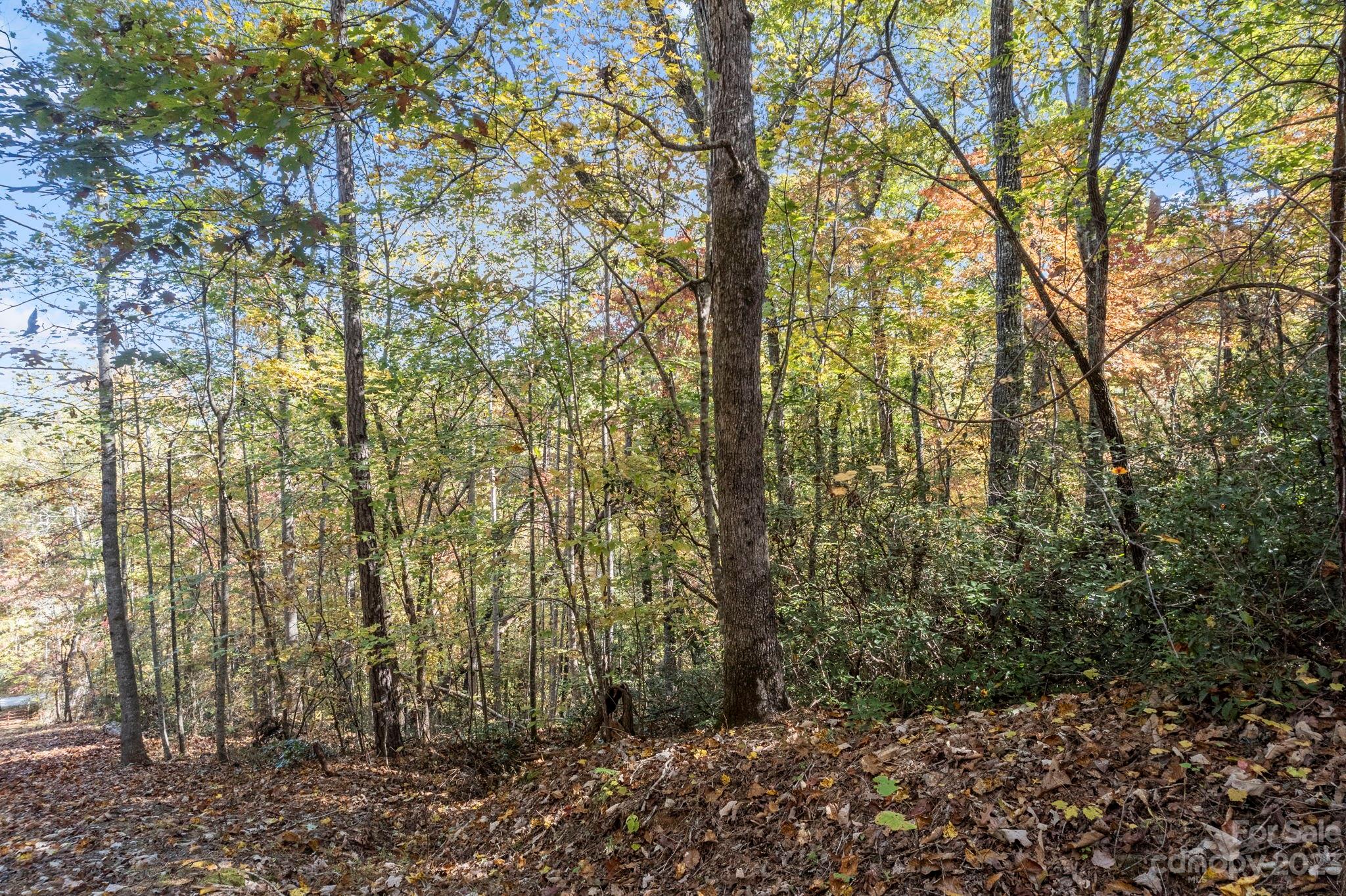 main property photo 37