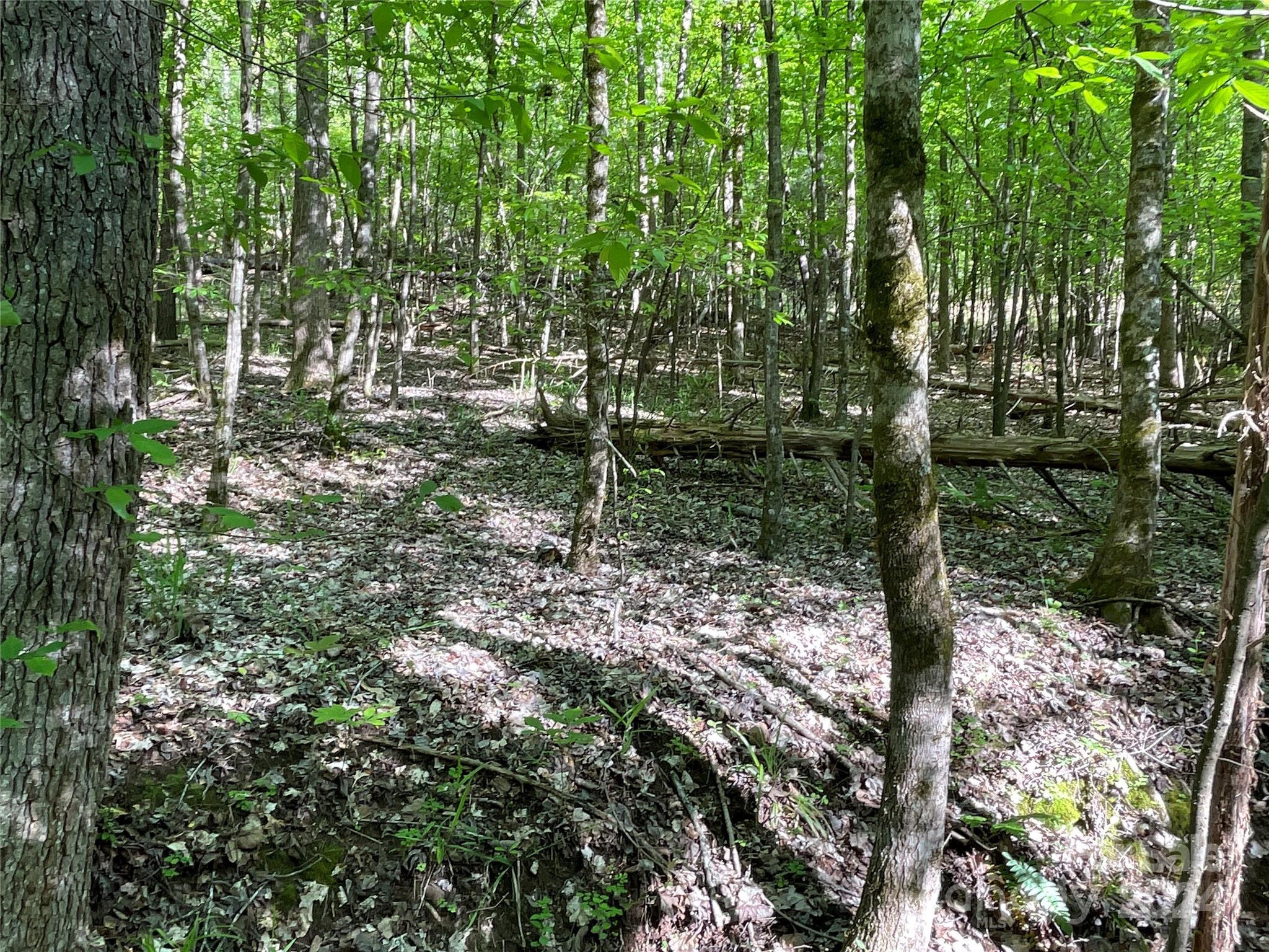 property viewer photo 10