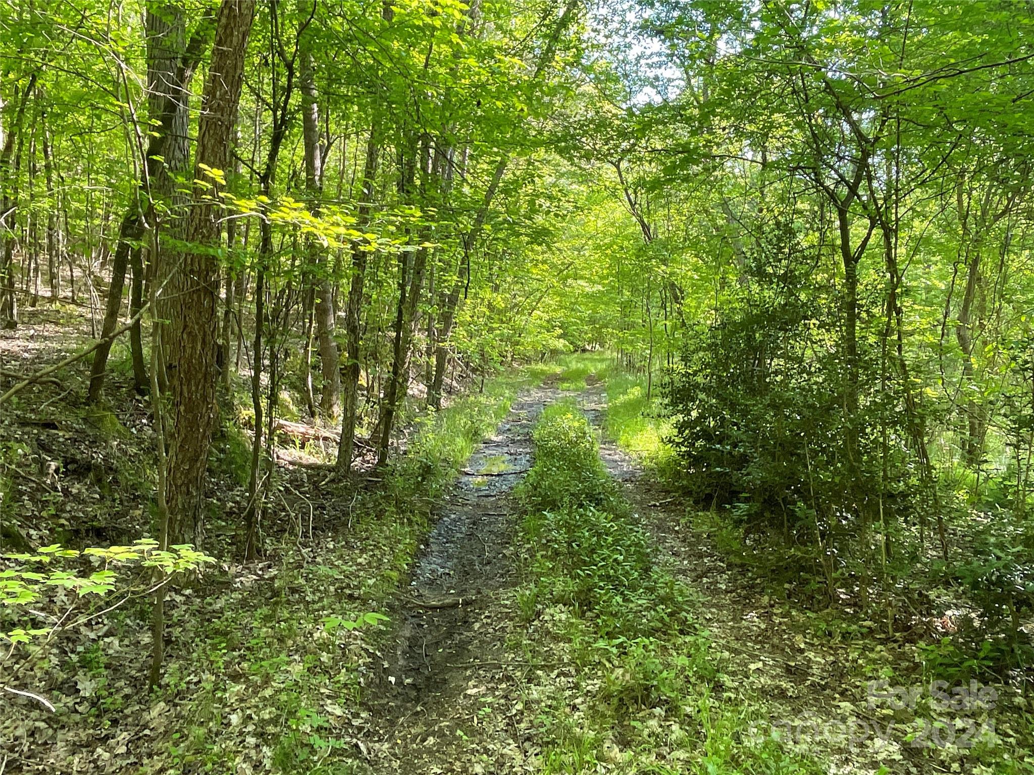 property viewer photo 11