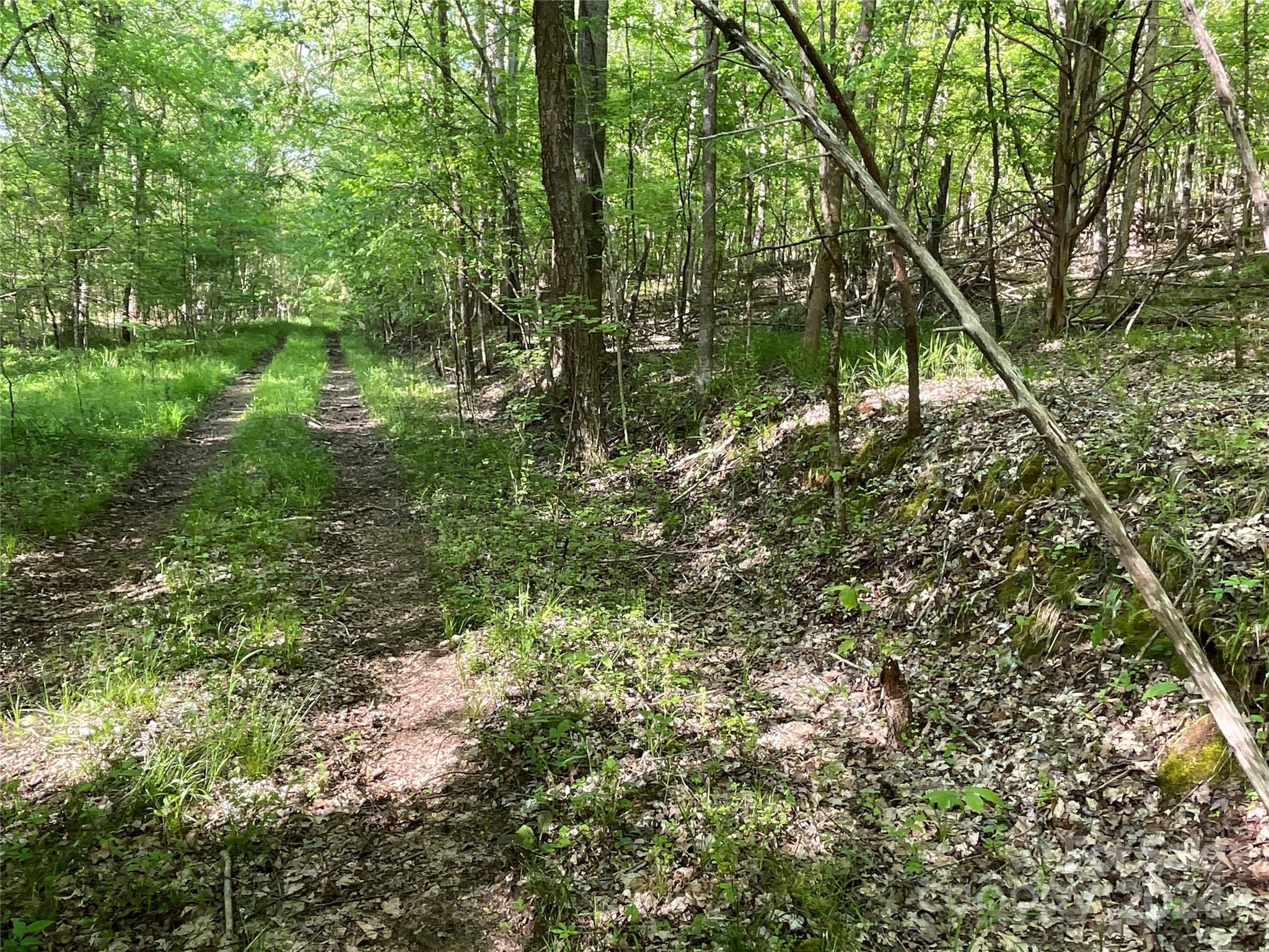 property viewer photo 12