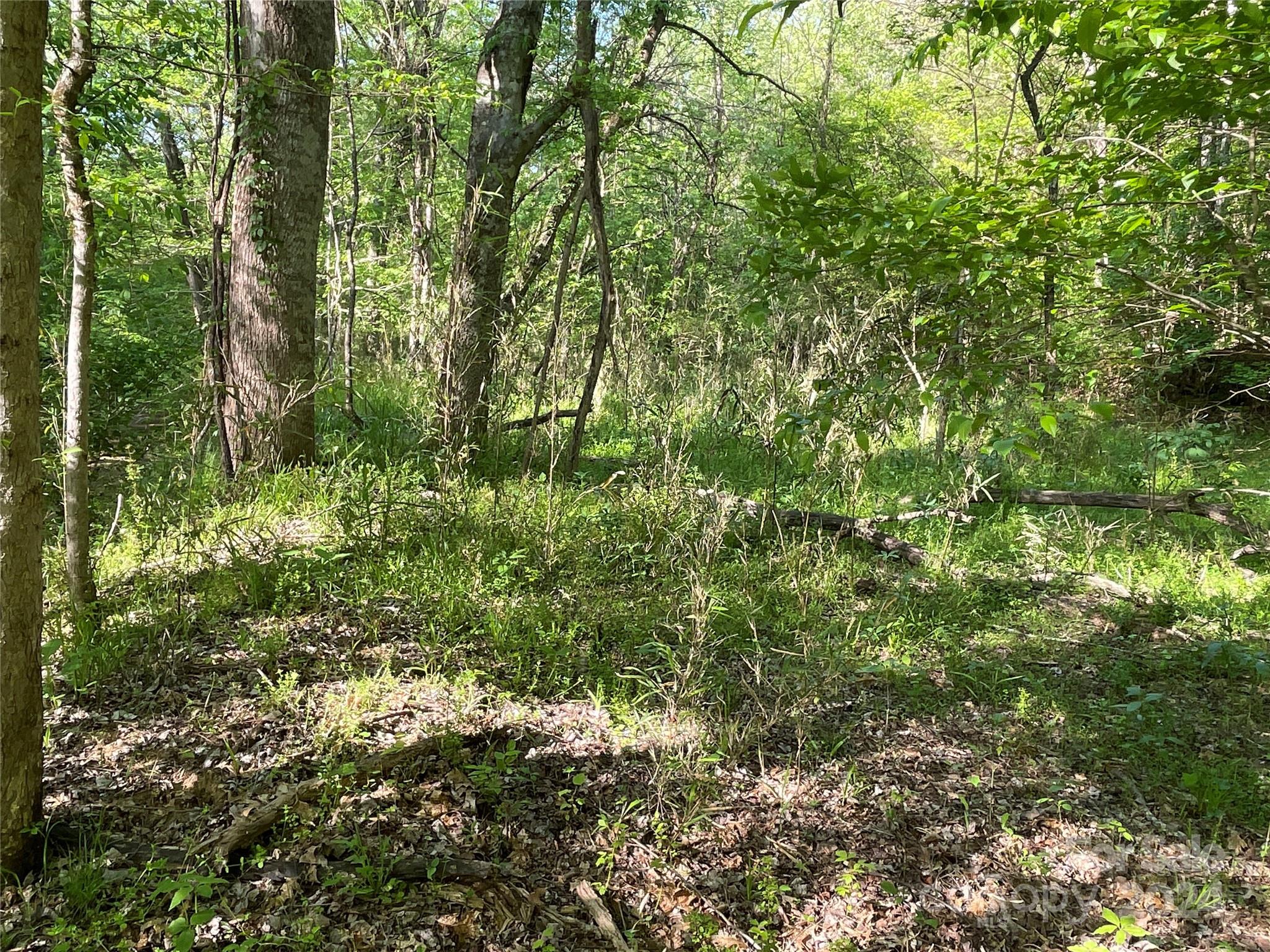 property viewer photo 14