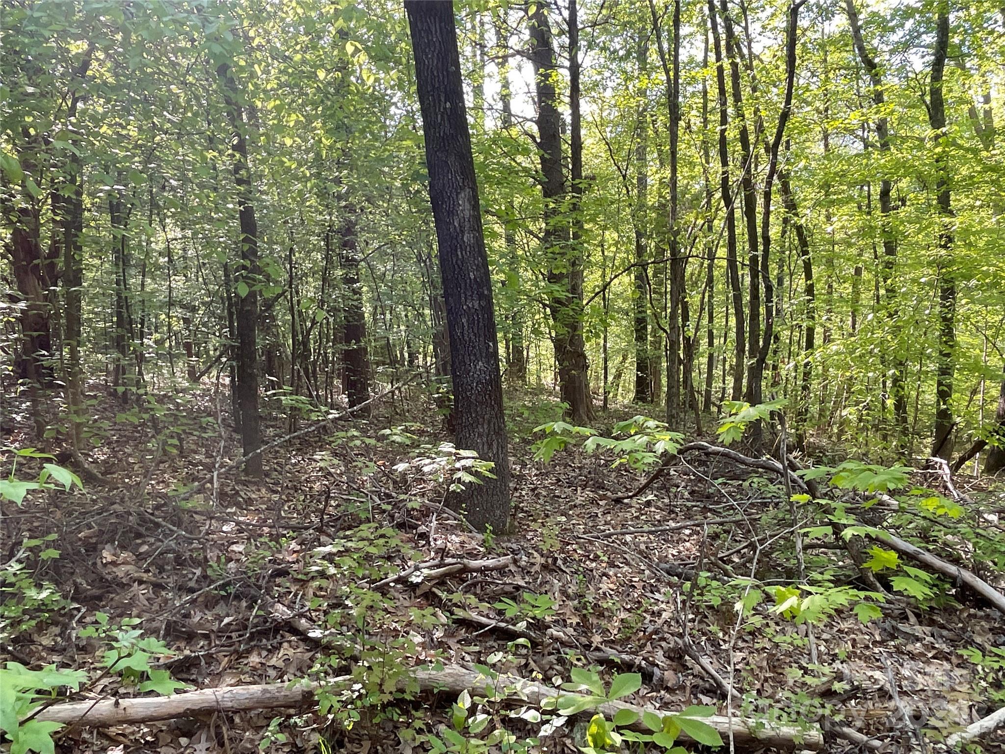 property viewer photo 15