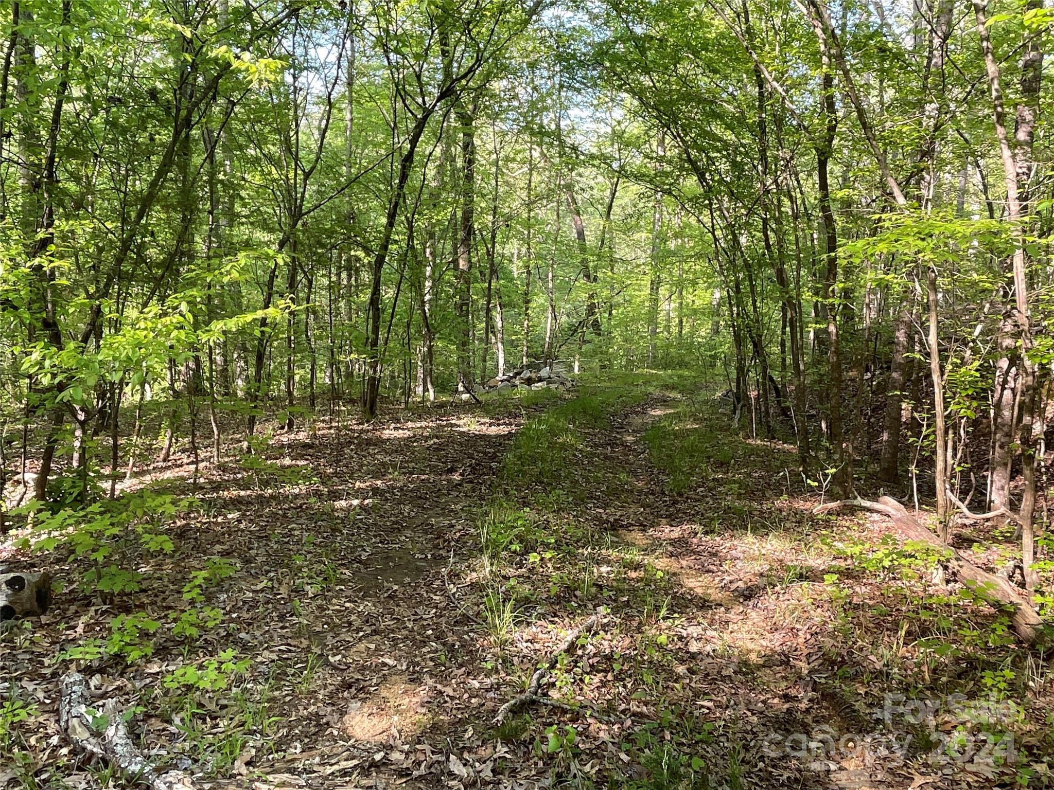 property viewer photo 16