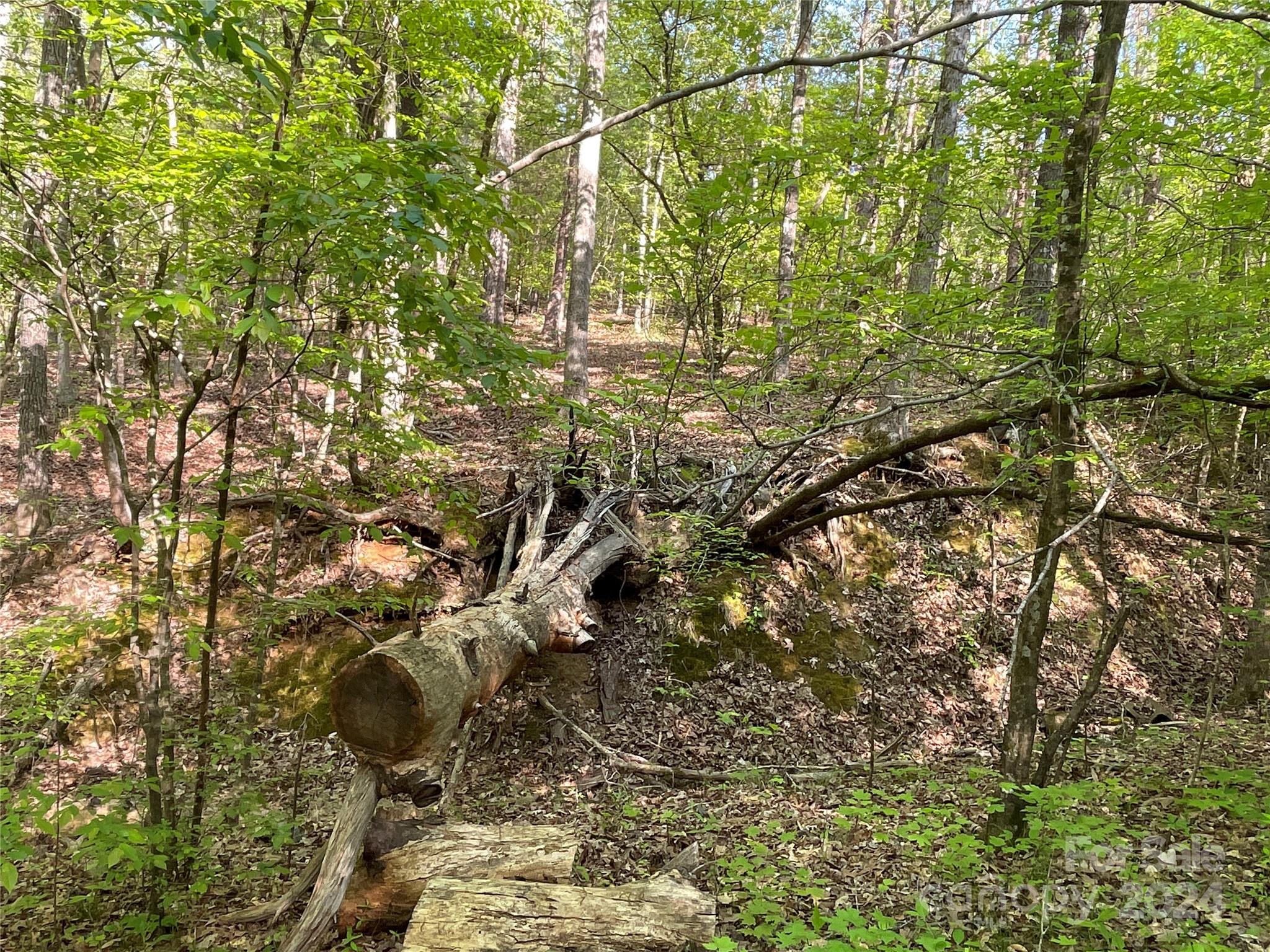 property viewer photo 17