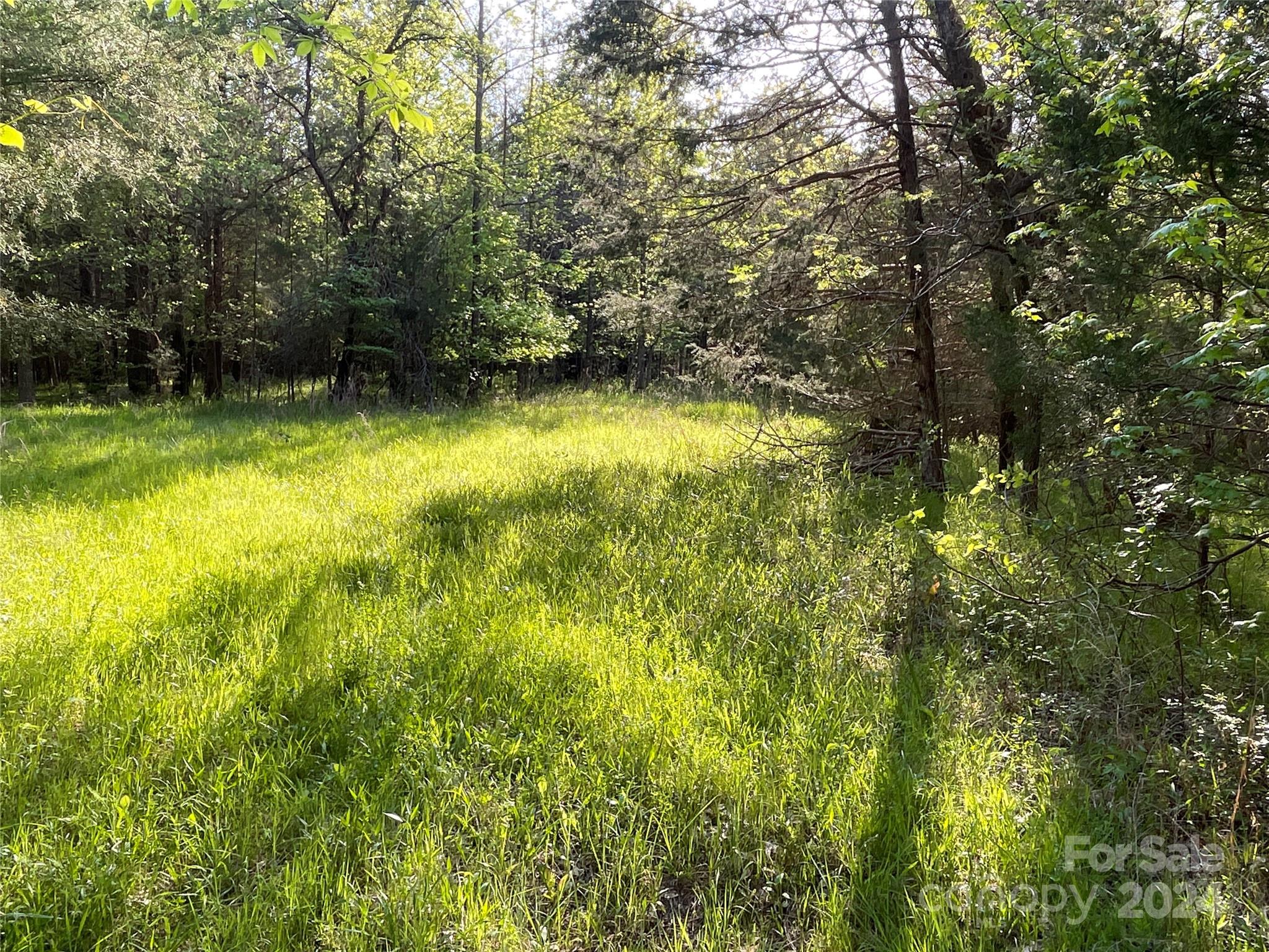 property viewer photo 18
