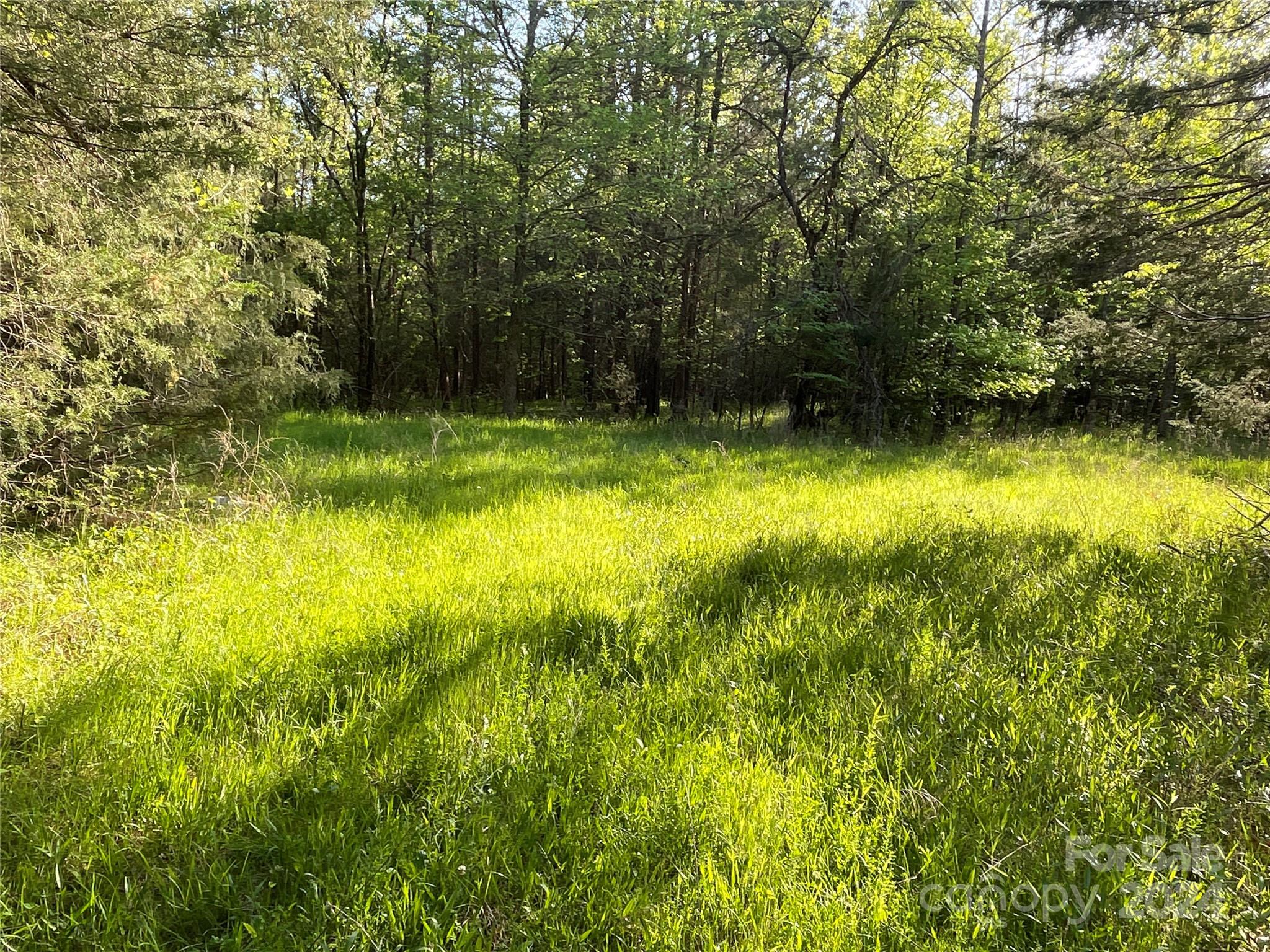 property viewer photo 19