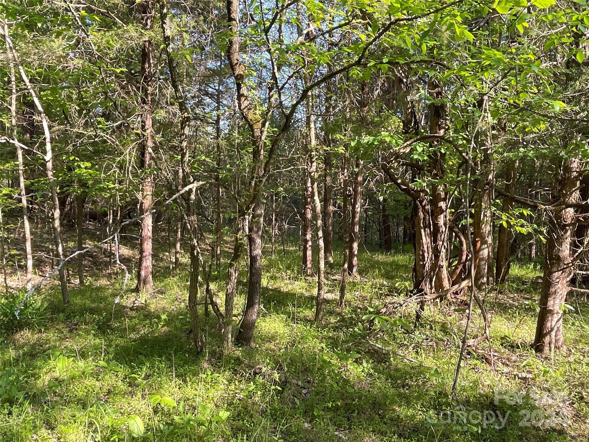 property viewer photo 20