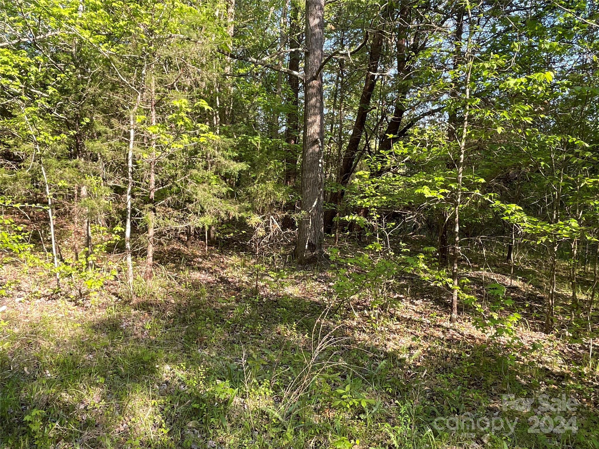 property viewer photo 21