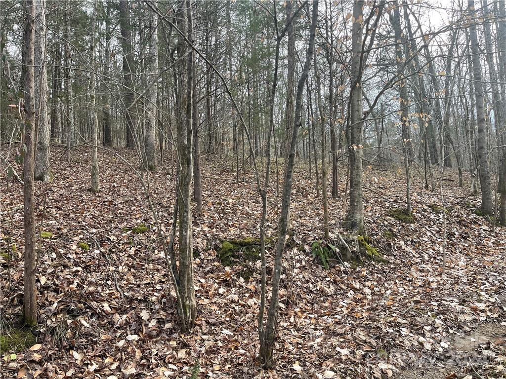 property viewer photo 4