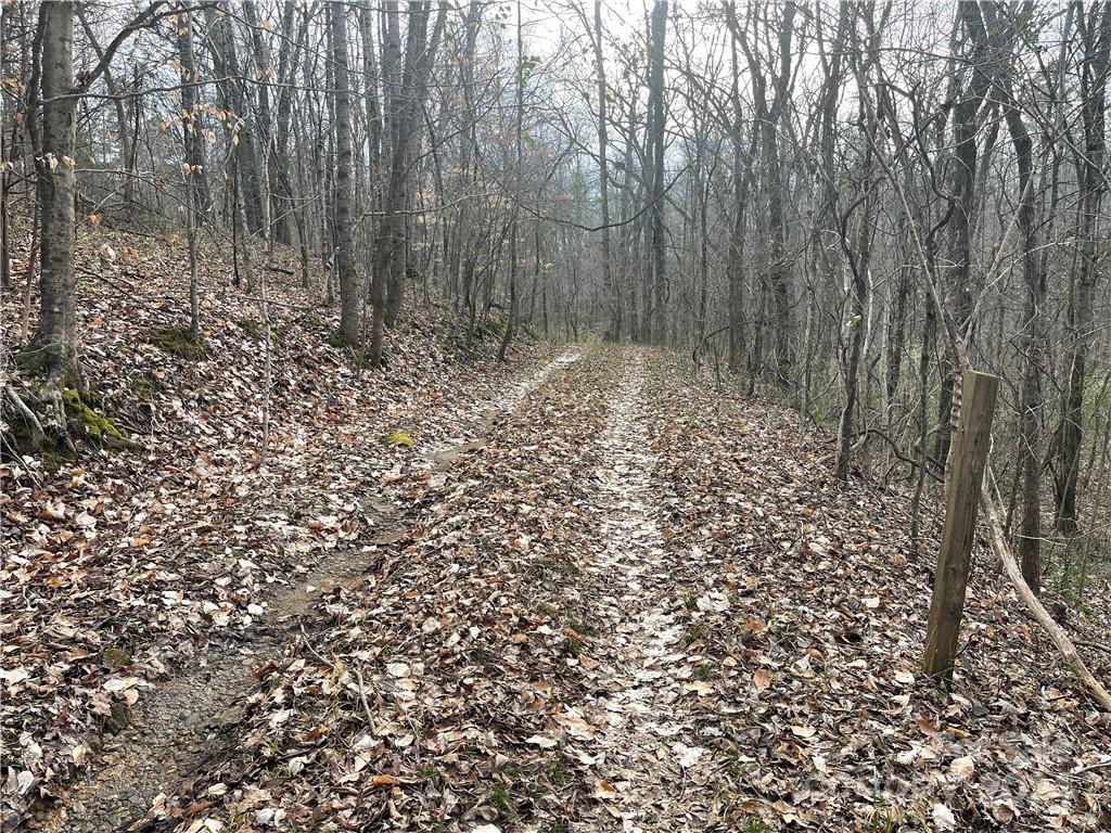property viewer photo 5