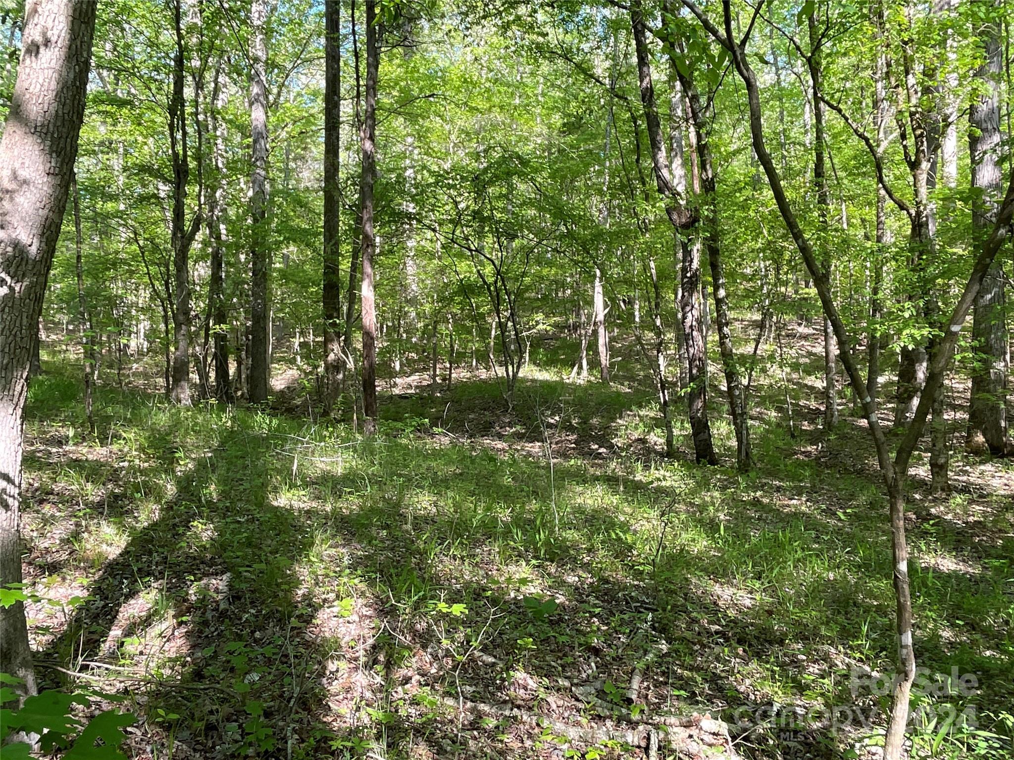 property viewer photo 6