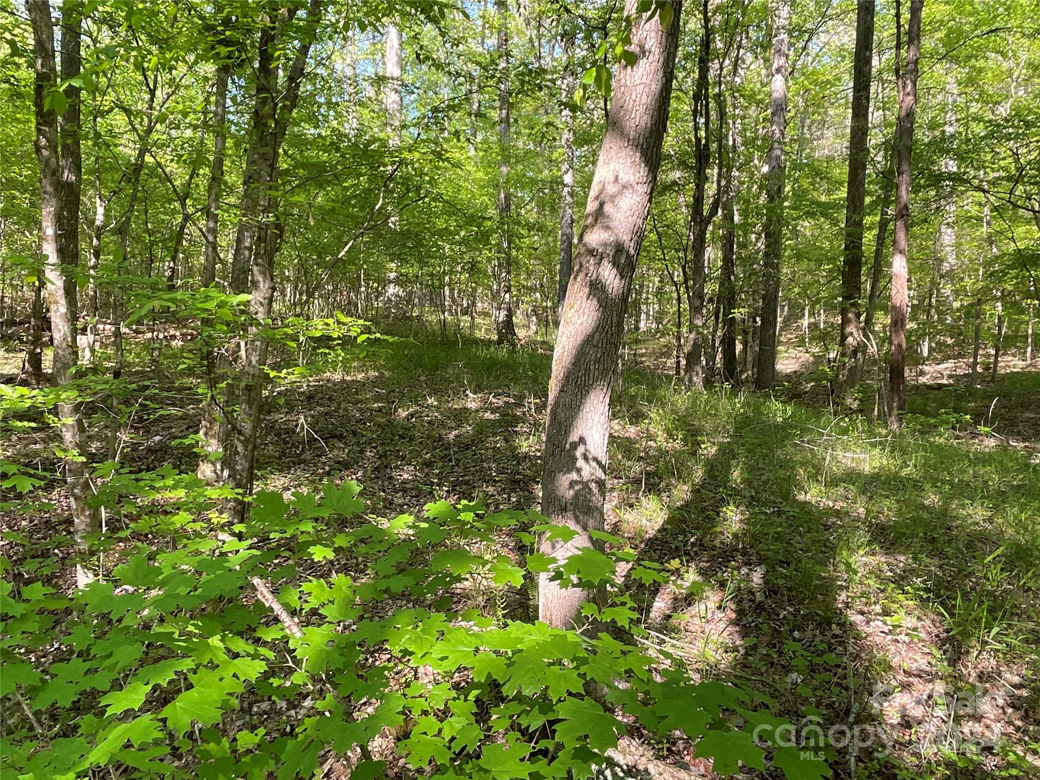 property viewer photo 7